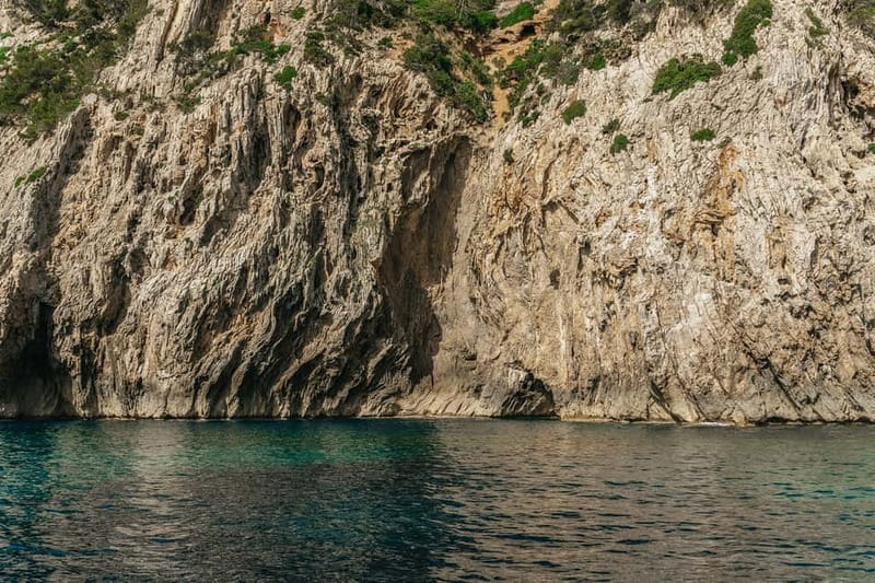 Alcudia or Can Picafort: Dolphin-Watching Cruise - How much value do you get for $91?