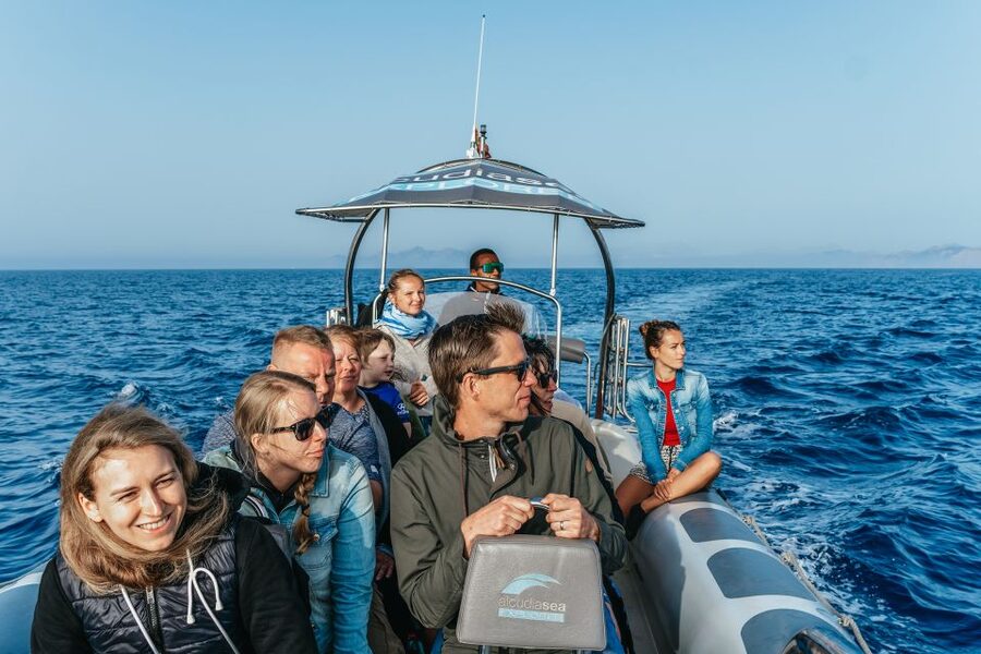 Alcudia or Can Picafort: Dolphin-Watching Cruise - Who will enjoy this boat trip most?