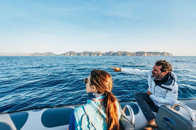Alcudia or Can Picafort: Dolphin-Watching Cruise - Finding dolphins in their natural home