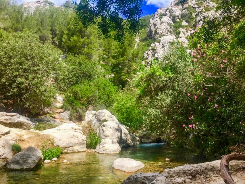 Algar Waterfalls Coach Trip - From Albir & Benidorm - Lockers, lunch, and practical comfort