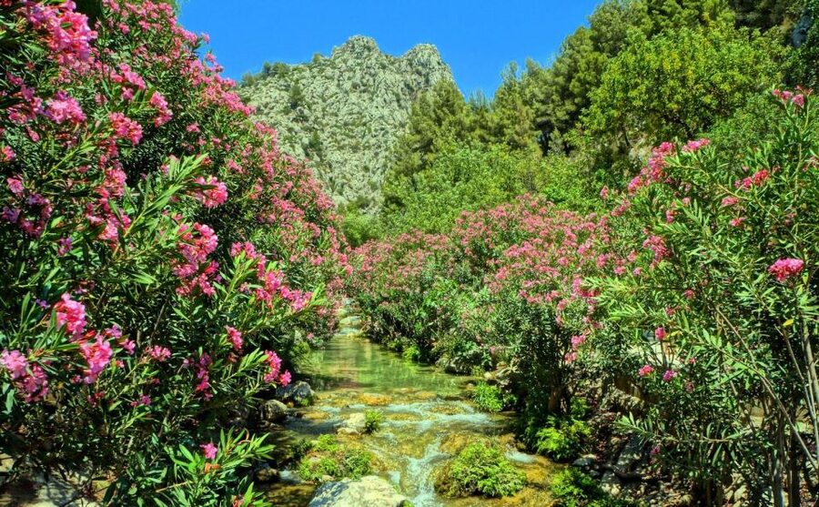 Algar Waterfalls Coach Trip - From Albir & Benidorm - How good is the coach service?