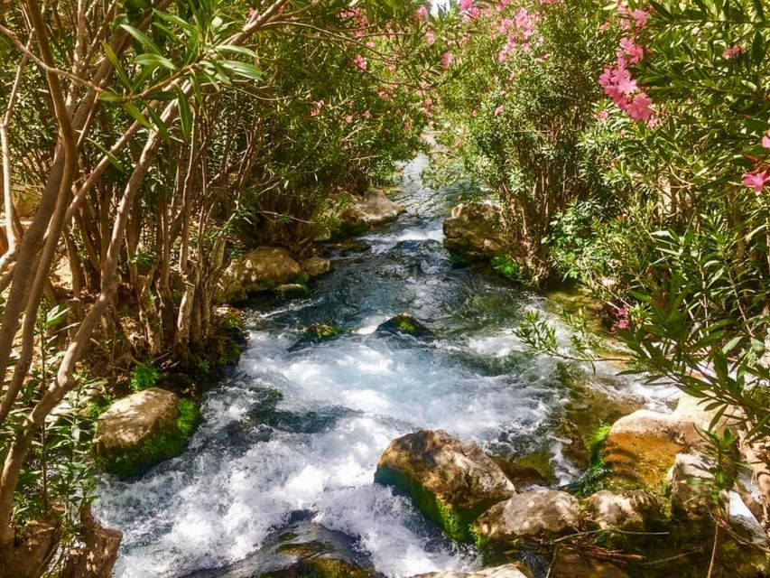 Algar Waterfalls Coach Trip - From Albir & Benidorm - Is $31 good value?