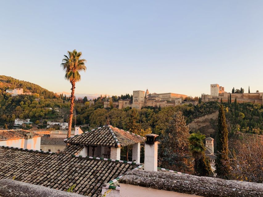 Alhambra and Nasrid Palaces Guided Tour with Tickets - Practical advice for a smoother visit