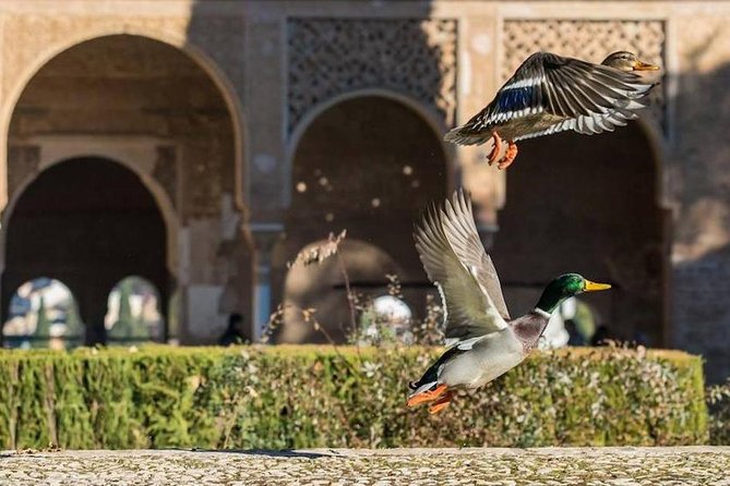 Alhambra Private/Small Group Tour & Nasrid Palaces Skip the Line - Is $107.63 good value?