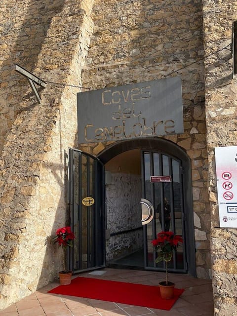 Alicante: Canelobre Caves & Busot Tour including transfer - The Ethnic Music Museum is an unexpected bonus