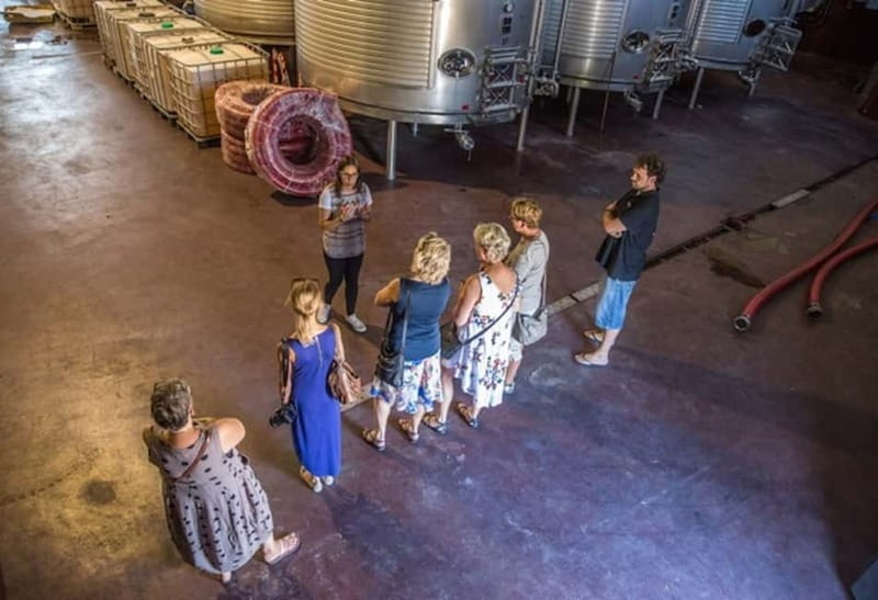 Alicante: Countryside Wine Tour with 4 Tastings - Key points at a glance