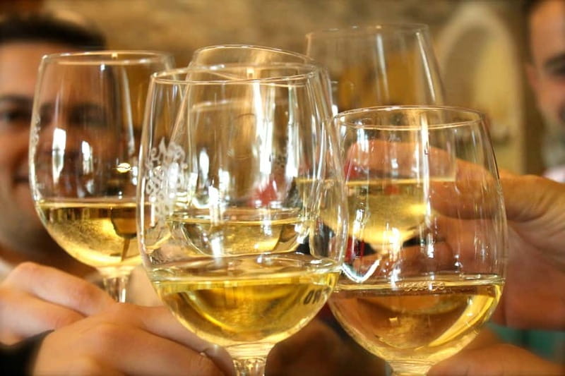 Alicante: Countryside Wine Tour with 4 Tastings - The 30-minute drive into Vinalopó