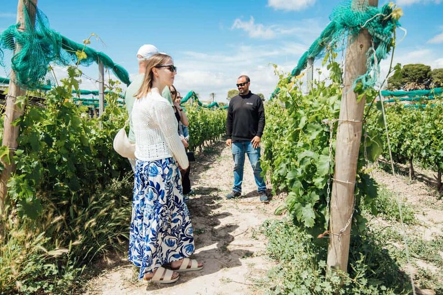 Alicante: Countryside Wine Tour with 4 Tastings - Meeting at Hotel Meliá Alicante