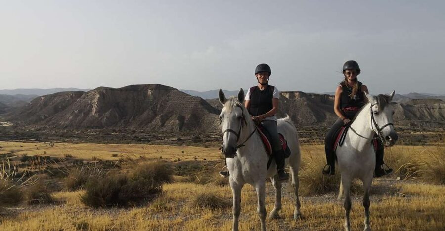 Almeria: Horse Riding Tour Through the Tabernas Desert - Key points to know before you book
