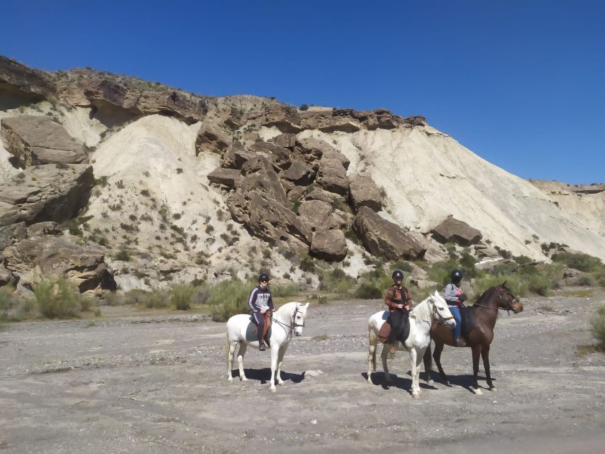 Almeria: Horse Riding Tour Through the Tabernas Desert - Why horseback is a good way to see Tabernas