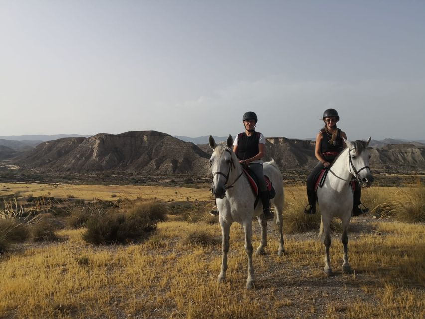 Almeria: Horse Riding Tour Through the Tabernas Desert - The first lesson and choosing your horse