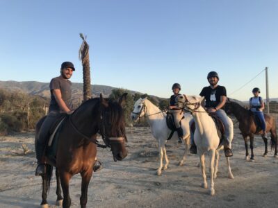 Horse Riding Tour Through the Tabernas Desert