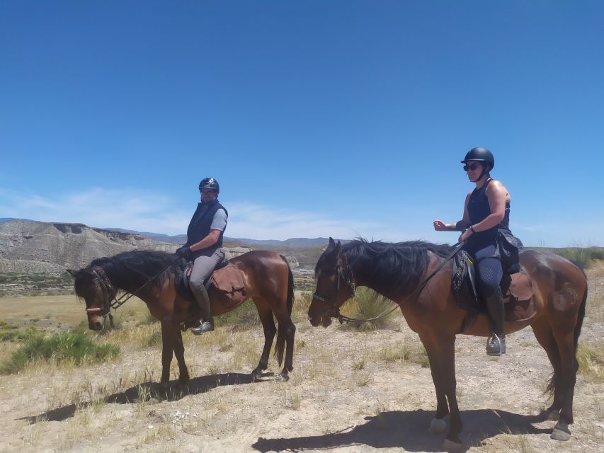 Almeria: Horse Riding Tour Through the Tabernas Desert - What the guides add to the ride
