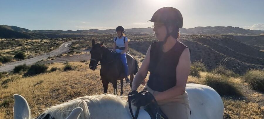 Almeria: Horse Riding Tour Through the Tabernas Desert - Timing, weather, and what to wear