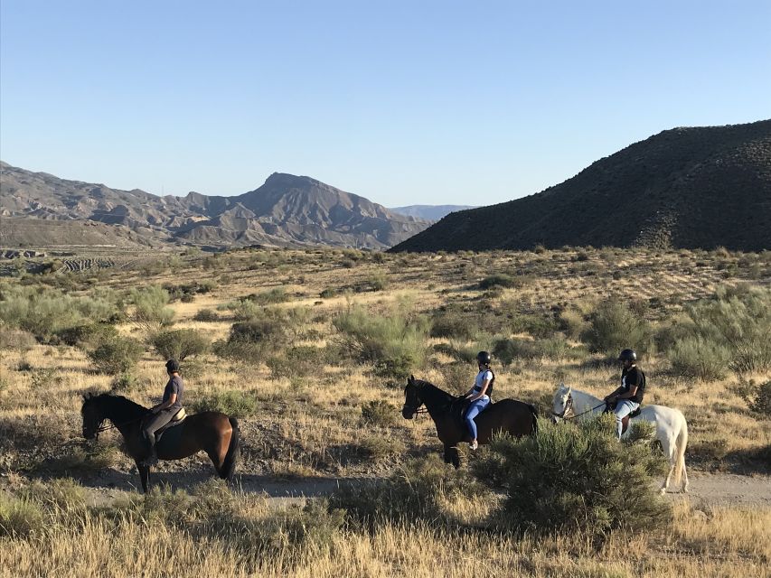 Almeria: Horse Riding Tour Through the Tabernas Desert - Who will enjoy this ride most?