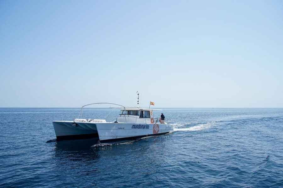 Altea: Catamaran Tour with Sunset Option - The sunset option, cava, and music