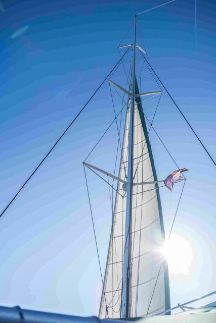 Altea: Catamaran Tour with Sunset Option - Crew service and organization