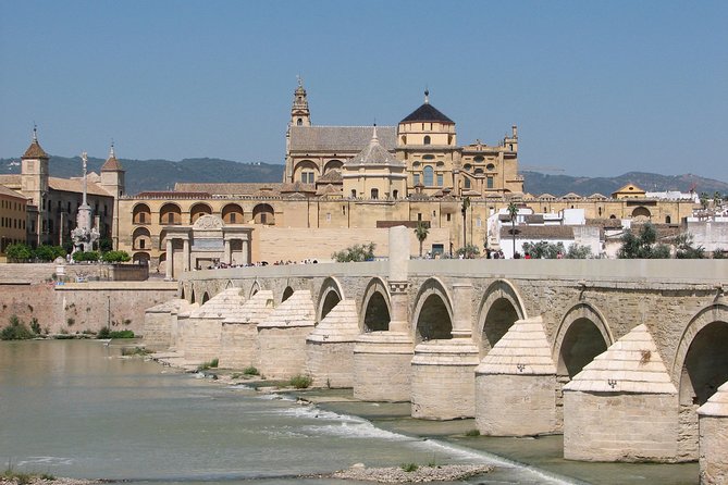 Andalusia: Cordoba, Seville & Granada from Madrid – 4 Nights - The guide and group experience