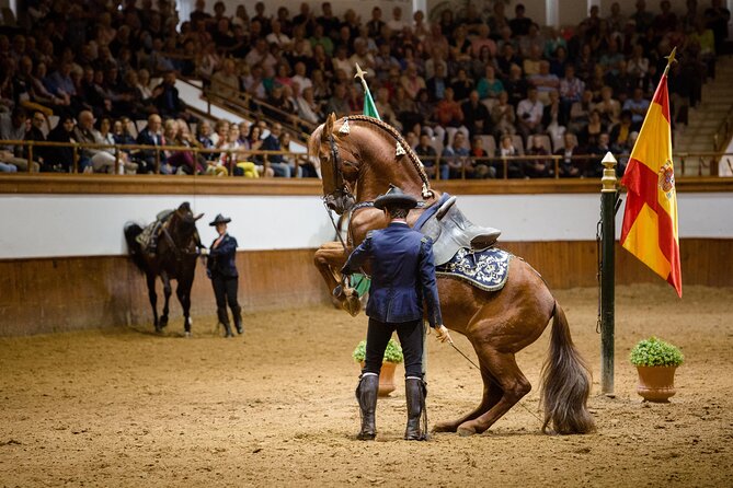 Andalusian Horses Dance Show - Why this Jerez horse show is worth your time