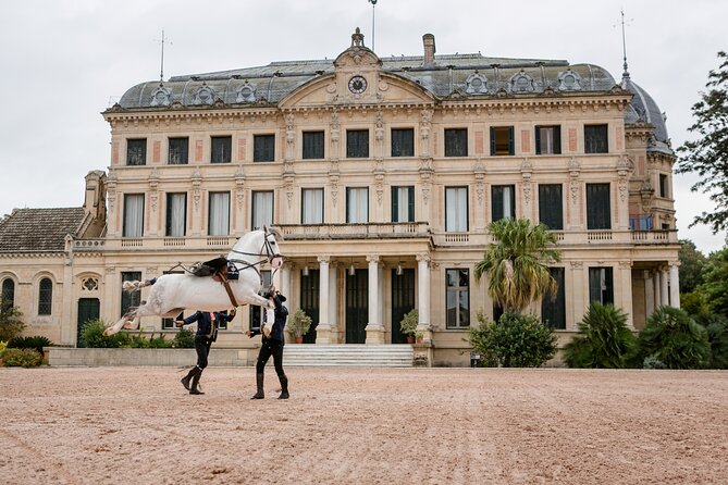 Andalusian Horses Dance Show - Doma vaquera, the practical side of Spanish horsemanship