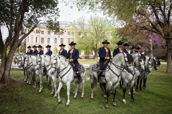 Andalusian Horses Dance Show - Work in hand and the strength behind the elegance