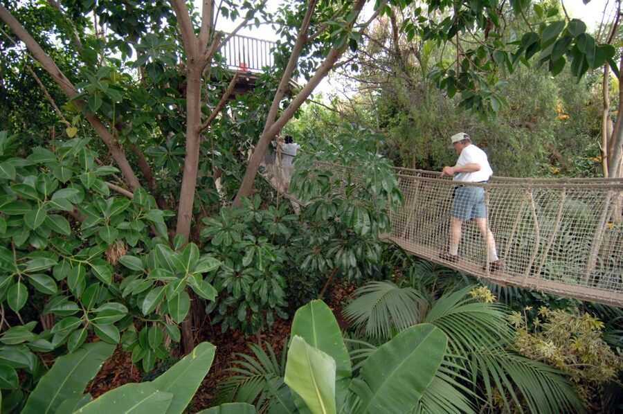 Arona: Entry Ticket to Tenerife's Jungle Park Zoo - Key points to know before you go
