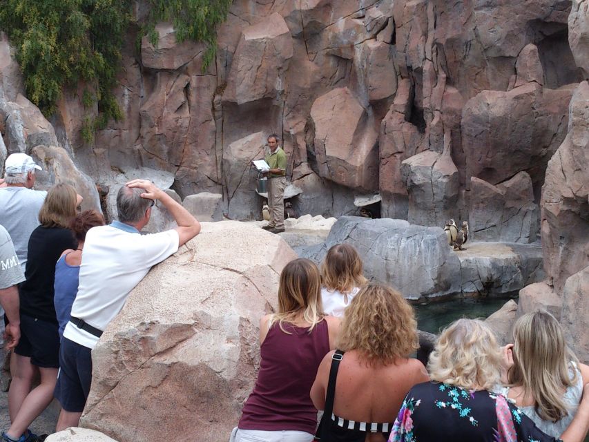 Arona: Entry Ticket to Tenerife's Jungle Park Zoo - Lemurs, bats, monkeys, and the smaller discoveries