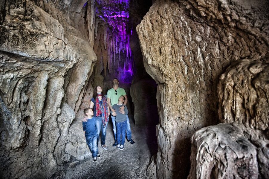 Arona: Entry Ticket to Tenerife's Jungle Park Zoo - The best schedule for a one-day visit