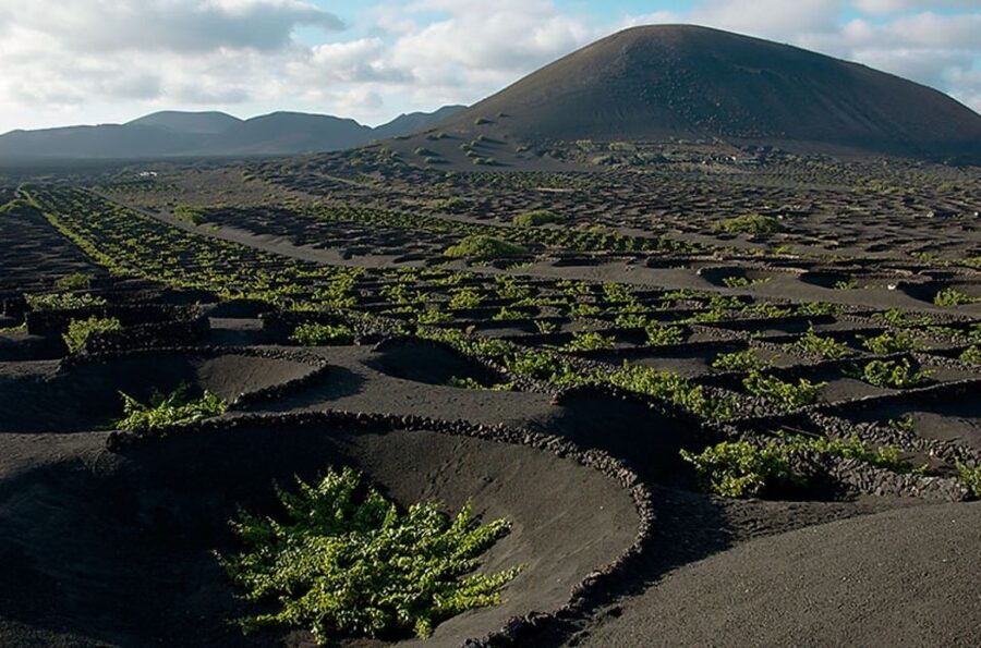 Arrecife/Playa Blanca: Timanfaya National Park Area Day Tour - Key points to know before booking