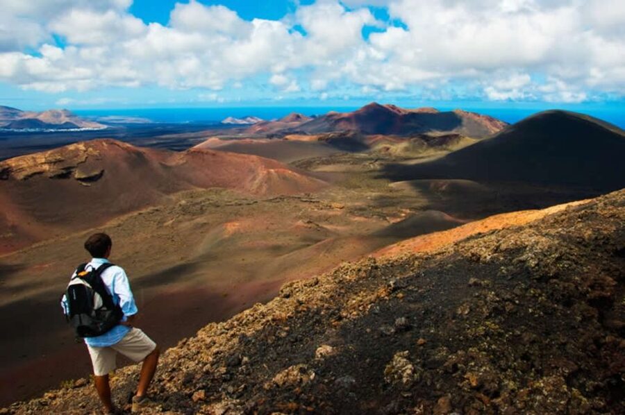 Arrecife/Playa Blanca: Timanfaya National Park Area Day Tour - Islet of Hilario and the famous heat demonstrations