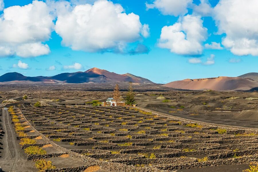 Arrecife: Timanfaya and Green Lagoon for Cruise Passengers - Key points at a glance
