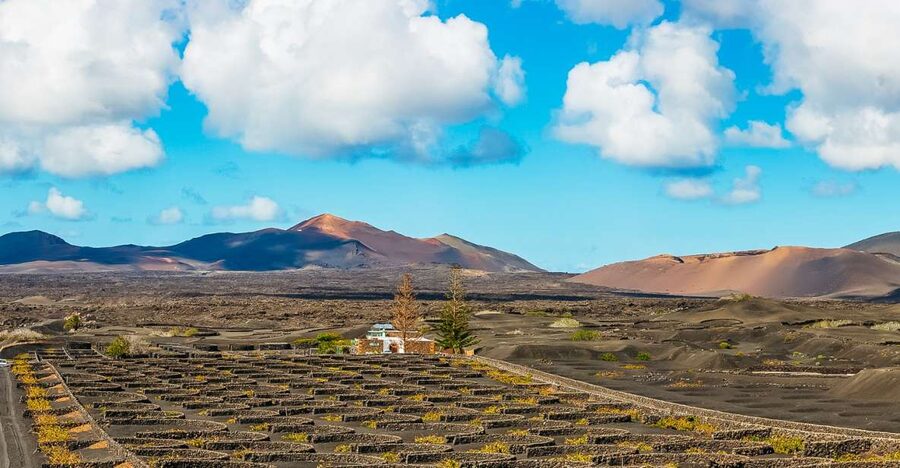 Arrecife: Timanfaya and Green Lagoon for Cruise Passengers - The port meeting point is simple, but follow the instructions