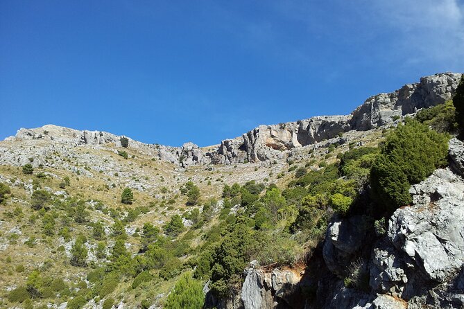 Authentic Andalusia - Jeep Eco Tour (pick up from Marbella - Estepona) - Guides make or break this kind of day