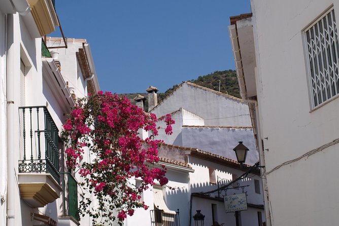 Authentic Andalusia - Jeep Eco Tour (pick up from Marbella - Estepona) - Who should book this Andalusian day trip