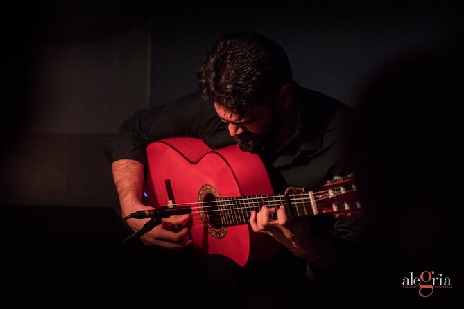 Authentic flamenco show. Alegria and gastronomy Malaga - A compact theatre built for flamenco