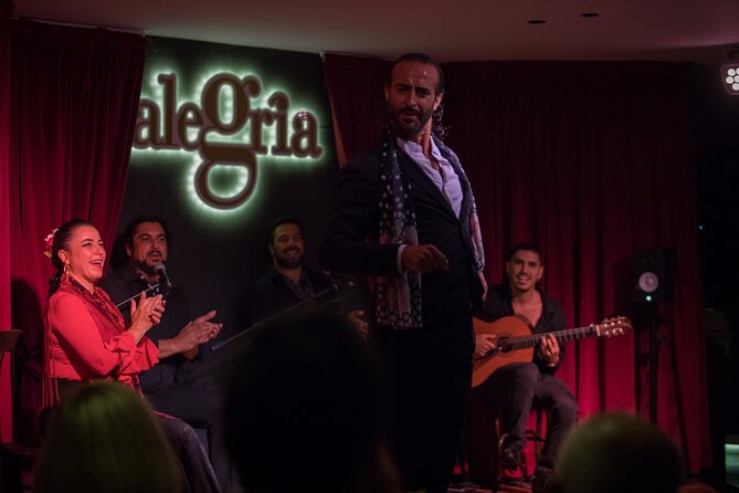Authentic flamenco show. Alegria and gastronomy Malaga - What happens during the one-hour performance