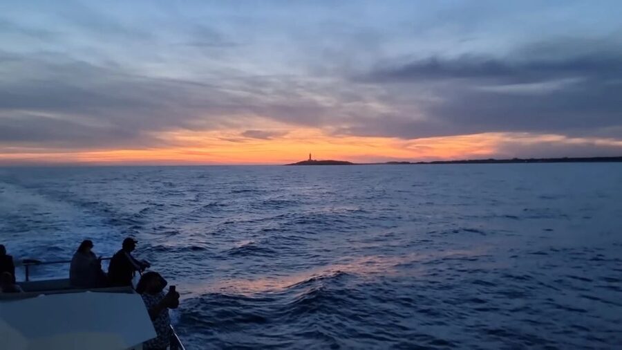 Barbate: Sunset Cruise with Glass of Cava - Key points to know before booking