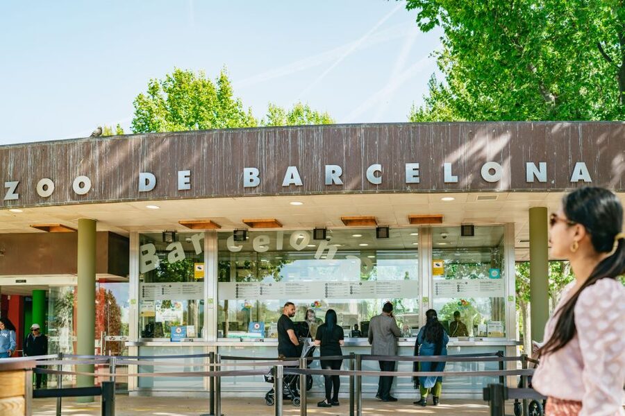 Barcelona: 1-Day Ticket to Barcelona Zoo - Key points to know before you go