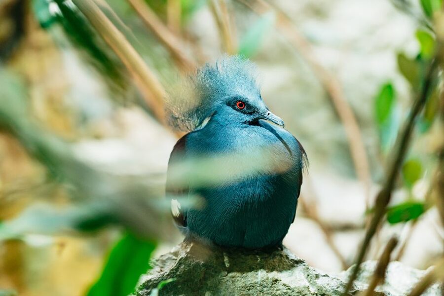 Barcelona: 1-Day Ticket to Barcelona Zoo - What a day at Barcelona Zoo feels like