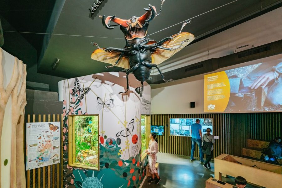 Barcelona: 1-Day Ticket to Barcelona Zoo - The animal collection, from Snowflake’s descendants to Komodo dragons