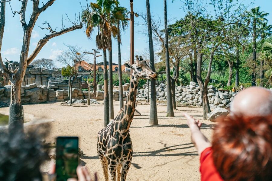 Barcelona: 1-Day Ticket to Barcelona Zoo - Is the $27 ticket good value?