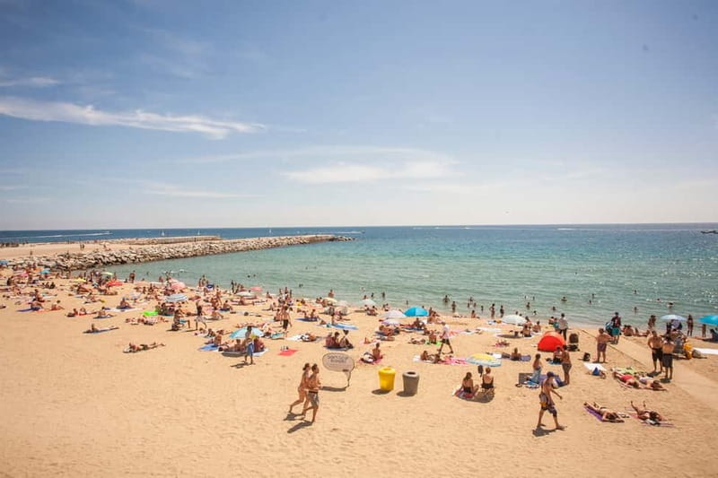 Barcelona: 2-Hour City Sights Guided Segway Tour - Guides, languages, and group size