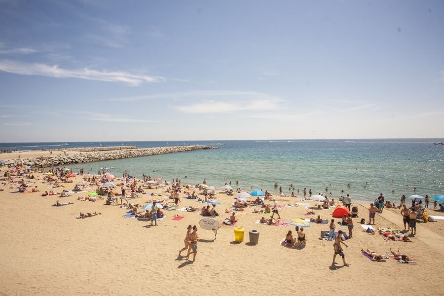 Barcelona: 2-Hour City Sights Guided Segway Tour - Olympic Port and the Barcelona of 1992