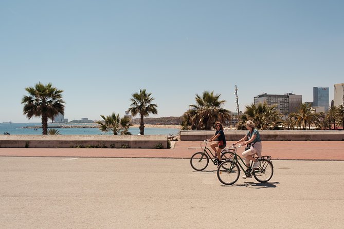 Barcelona 3-hour Bike or E-Bike Tour: Highlights and Hidden Gems - Starting under the palms at Plaça Reial