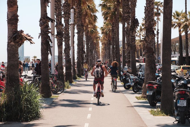 Barcelona 3-hour Bike or E-Bike Tour: Highlights and Hidden Gems - Arc de Triomf and a proper break at Ciutadella Park