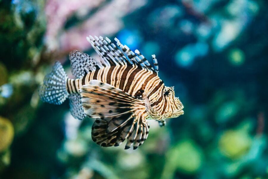 Barcelona Aquarium: Entry Ticket - Booking Flexibility and Entry Details