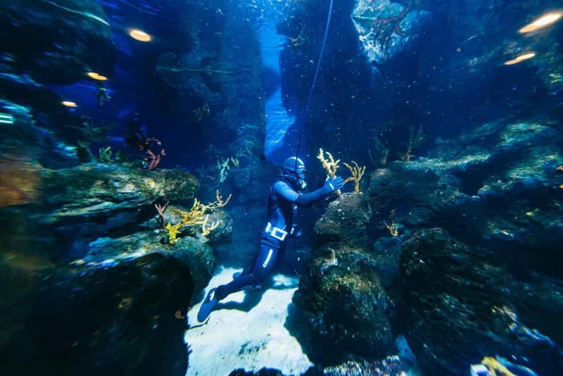 Barcelona Aquarium: Entry Ticket - Planeta Aqua: The Best Part for Young Children