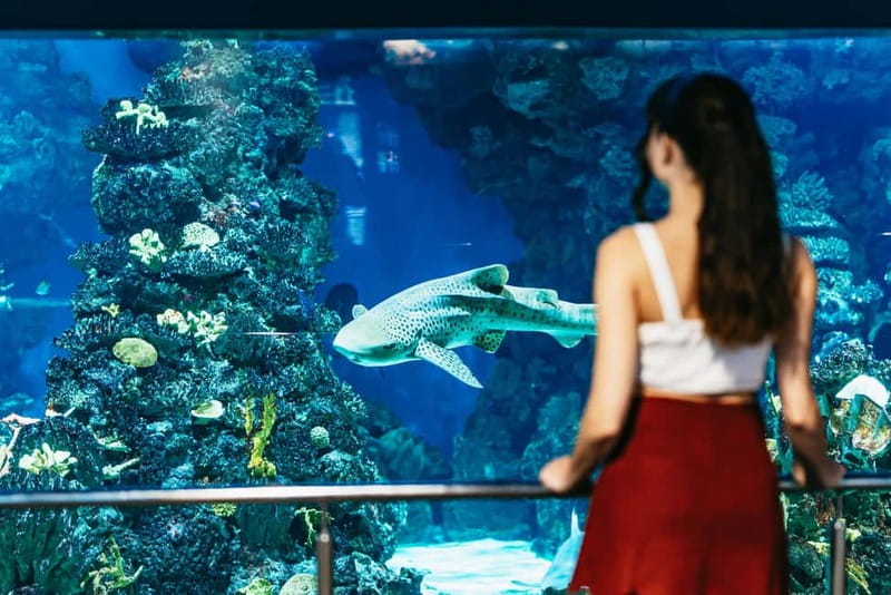 Barcelona Aquarium: Entry Ticket - Penguins, Rays, and the Details You Might Miss