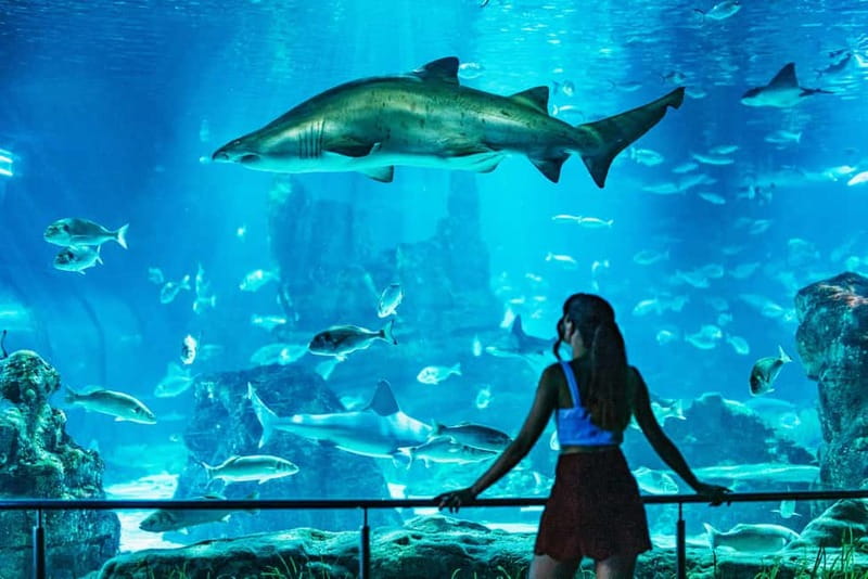 Barcelona Aquarium: Entry Ticket - How Long to Stay and When to Visit