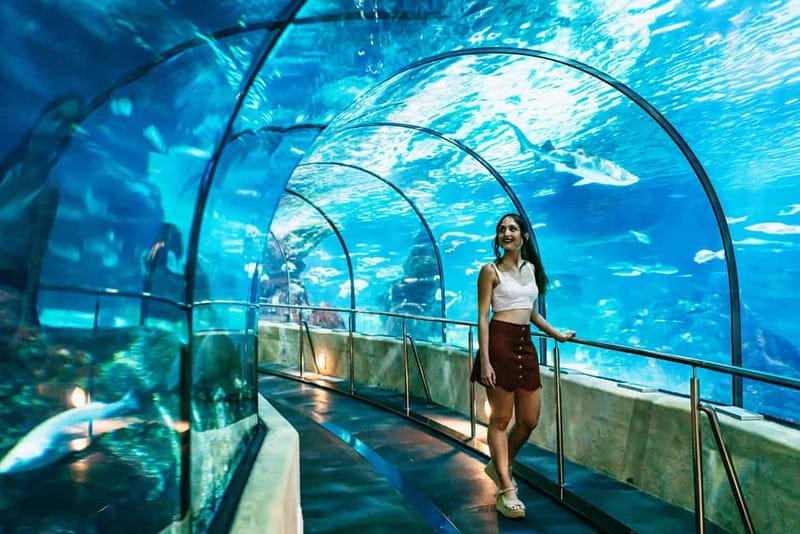 Barcelona Aquarium: Entry Ticket - Family Access, Comfort, and Small Practical Issues